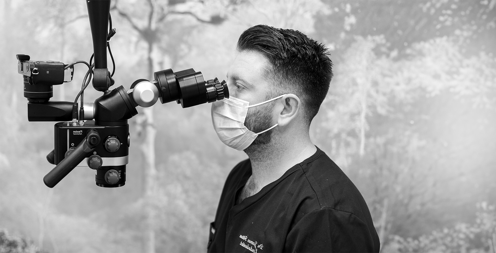 Apex Endodontics